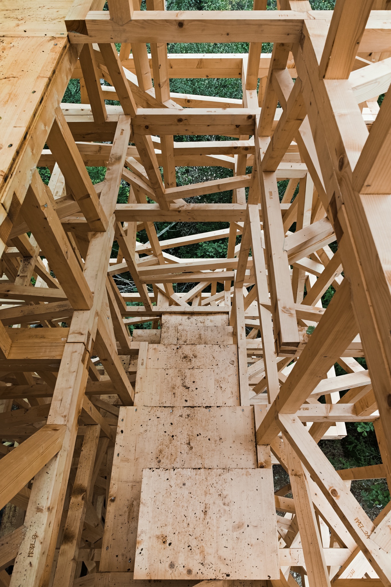 timber steps of the caschlatsch structure